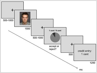 No Robust Association between Static Markers of Testosterone and Facets of Socio-Economic Decision Making